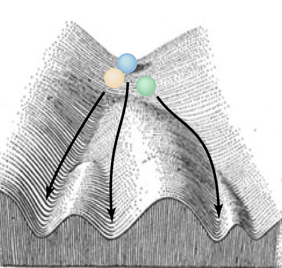 Privatpraxis für ganzheitliche Frauenheilkunde